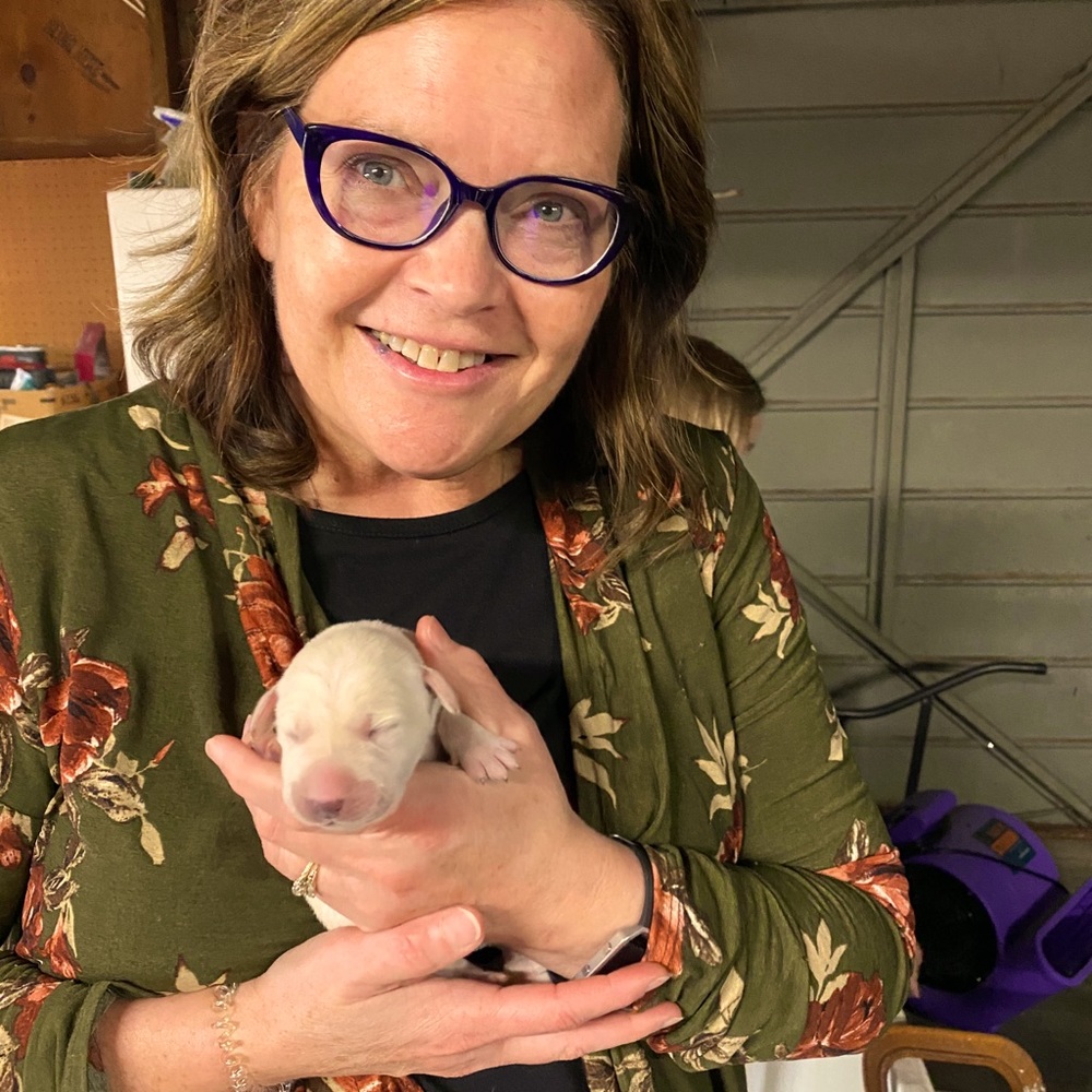 Meet your Posher, Lisa